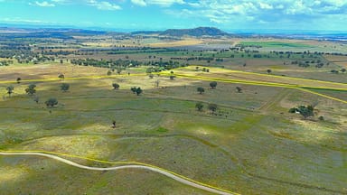 Property 20 Callaghans Lane, QUIRINDI NSW 2343 IMAGE 0