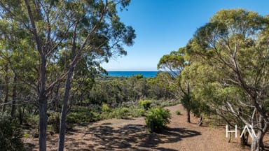 Property 279 Gardens Road, Binalong Bay TAS 7216 IMAGE 0