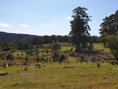 Property Lot 1 Costains Road, GEEVESTON TAS 7116 IMAGE 0