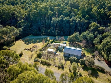 Property 109 Irish Town Road, St Marys TAS 7215 IMAGE 0