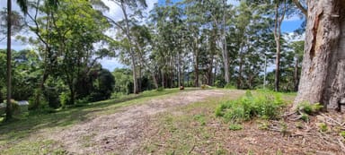 Property 76 Maso Road, REPENTANCE CREEK NSW 2480 IMAGE 0