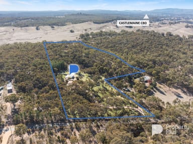 Property 545 Muckleford-Yapeen Road, Yapeen VIC 3451 IMAGE 0