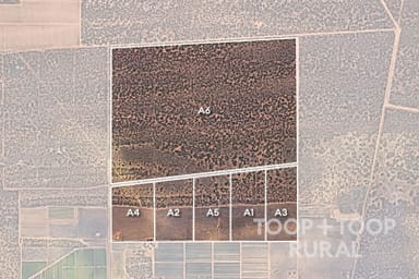 Property Lot 1265 Warnecke Road, Monash SA 5342 IMAGE 0