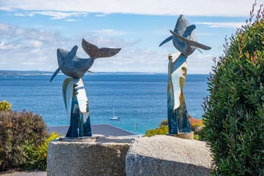 Property Wedge Court Wedge Court, Binalong Bay TAS 7216 IMAGE 0