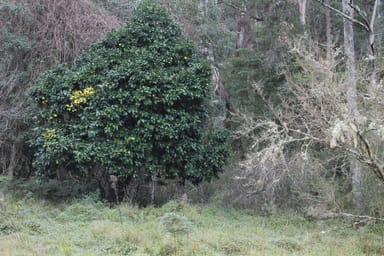 Property Lot 2 Off Neringla Road, BRAIDWOOD NSW 2622 IMAGE 0