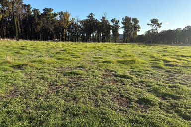 Property Lot 245 & Donnybrook-Boyup Brook Road, Glen Mervyn WA 6239 IMAGE 0