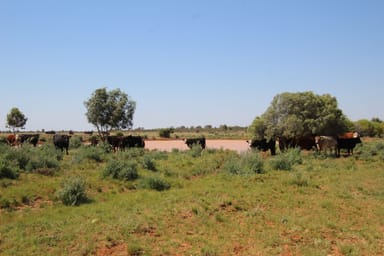 Property 4781 Camerons Corner Road, Tibooburra NSW 2880 IMAGE 0