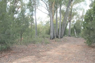 Property PID 6792803 Trout Road, UPPER SCAMANDER TAS 7215 IMAGE 0