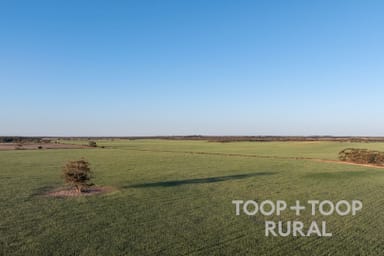 Property Lot 499 Murbko Road, Murbko SA 5320 IMAGE 0