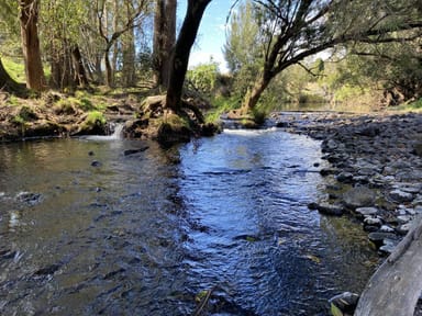 Property 979 Afterlee Rd, Kyogle NSW 2474 IMAGE 0