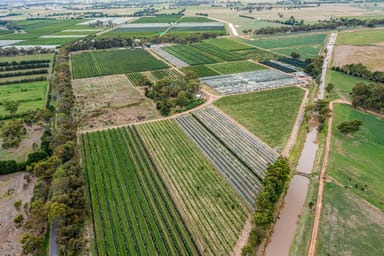 Property 5160 Barmah-Shepparton Road, Bunbartha VIC 3634 IMAGE 0