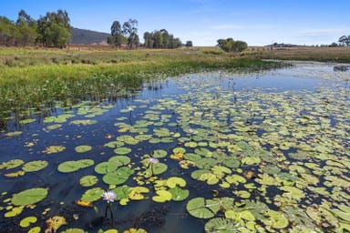 Property Lot 2 Ironbark Ridge Road, Bauple QLD 4650 IMAGE 0