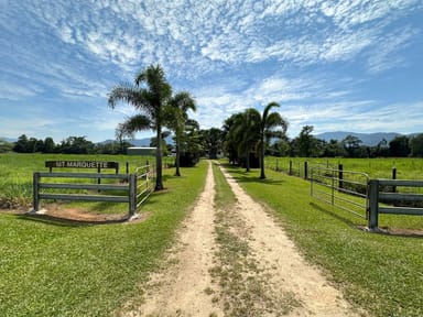 Property 1256 Tully Gorge Road, JARRA CREEK QLD 4854 IMAGE 0