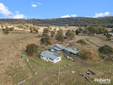 Property 289 New Country Marsh Road, Levendale TAS 7120 IMAGE 0