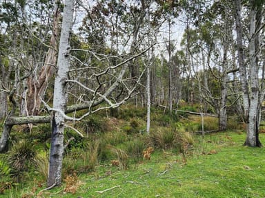 Property Lot Lot 1, 221 Irish Town Road, ST MARYS TAS 7215 IMAGE 0