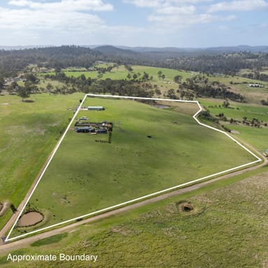 Property 21 Waterson Lane, Carlton  IMAGE 0