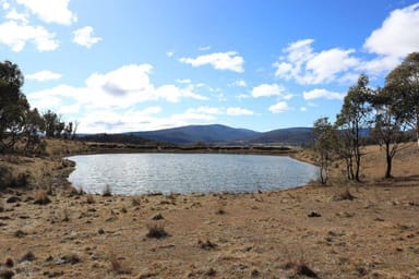 Property 1917 Limestone Road, Benambra VIC 3900 IMAGE 0