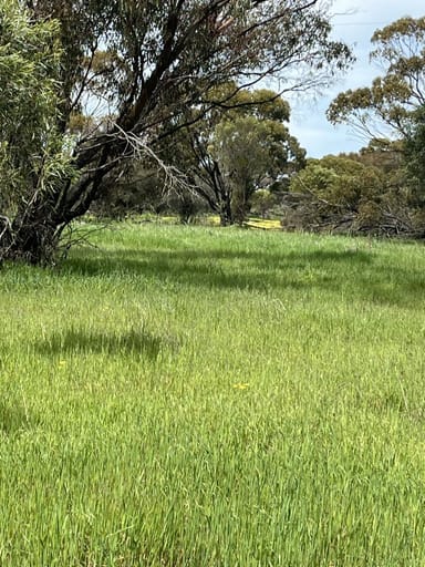 Property Lot 14438 & 14439 Yarramony Road, Jennacubbine WA 6401 IMAGE 0