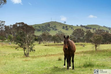 Property 6 Stringybark Place, Manton NSW 2582 IMAGE 0