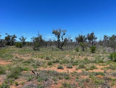 Property Borehead Road Borehead, Lightning Ridge NSW 2834 IMAGE 0