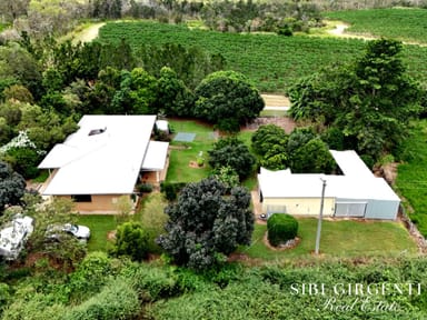 Property 599 Springs Road, Paddys Green QLD 4880 IMAGE 0