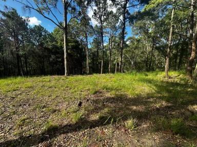 Property 179 Viney Creek Road West, Tea Gardens NSW 2324 IMAGE 0