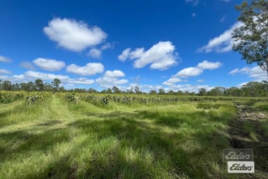 Property 288 Blowers Road, Munna Creek QLD 4570 IMAGE 0