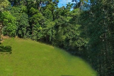 Property 1 Saddle Mountain Road, Kuranda QLD 4881 IMAGE 0