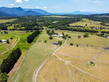 Property 1253 Mossman Mount Molloy Road, Julatten QLD 4871 IMAGE 0