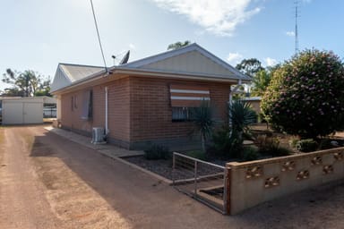 Property 49 Tonkin Avenue, Barmera SA 5345 IMAGE 0
