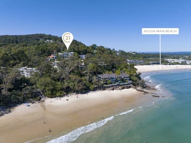 Property 14A Little Cove Road, Noosa Heads QLD 4567 IMAGE 0