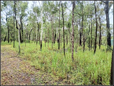 Property 9 Park Lane, Millstream QLD 4888 IMAGE 0