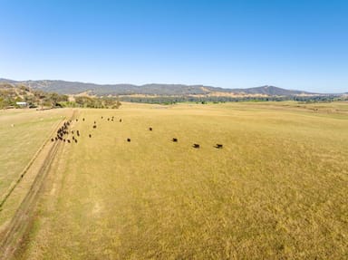 Property 2268 Westbrook Road, Oberne Creek NSW 2650 IMAGE 0