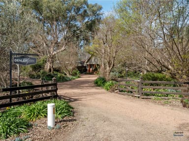 Property 228 Quinn Road, BROKEN CREEK VIC 3673 IMAGE 0