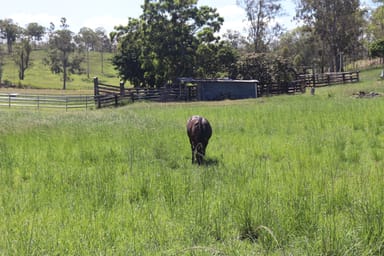 Property 150 Tablelands Road, Gin Gin QLD 4671 IMAGE 0