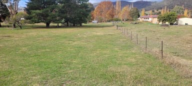 Property Lot 2/1302507 Wyndham St, Adelong NSW 2729 IMAGE 0