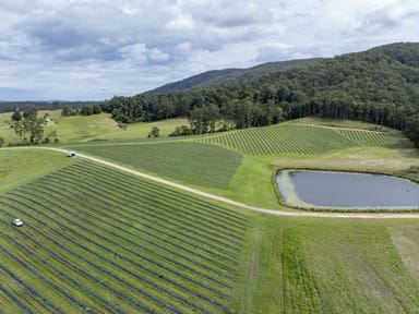 Property 40B Hallgaths Road, Coffs Harbour NSW 2450 IMAGE 0