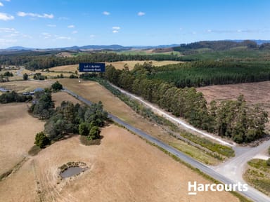 Property Lot 1 Golconda Road, BLUMONT TAS 7260 IMAGE 0