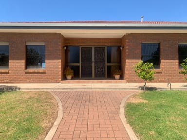 Property 31 Sare Street, Hectorville SA 5073 IMAGE 0