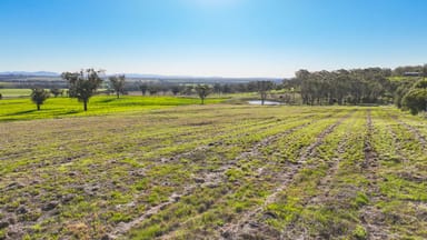 Property 31 Tullamore Road, TAMWORTH NSW 2340 IMAGE 0