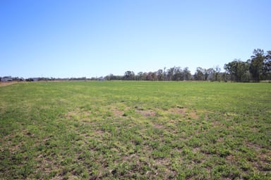 Property 244 A Creek Road, Eidsvold QLD 4627 IMAGE 0