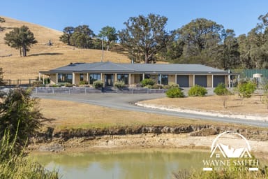 Property 75 Paddys Dam Road, Tooborac VIC 3522 IMAGE 0