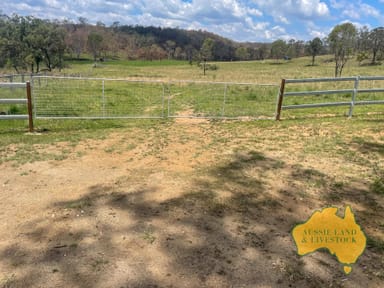 Property 345, Cooyar - Mt Binga Rd, COOYAR QLD 4402 IMAGE 0