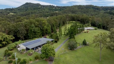 Property 3277 Beechmont Road, Witheren QLD 4275 IMAGE 0