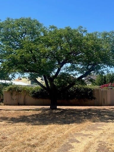 Property 12 Gamenya Avenue, Merredin WA 6415 IMAGE 0