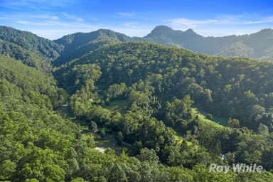 Property 65 Porters Road, Upper Crystal Creek NSW 2484 IMAGE 0