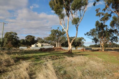 Property Crn Echuca-Serpentine & Prairie Road, Calivil VIC 3573 IMAGE 0