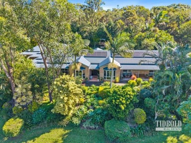 Property 19 Viola Drive, REDLAND BAY QLD 4165 IMAGE 0