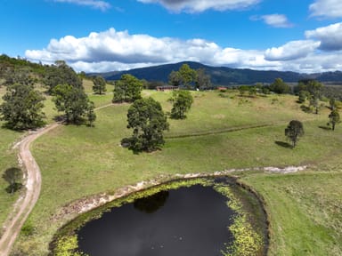 Property 153 Sunshine Road, HILLVILLE NSW 2430 IMAGE 0