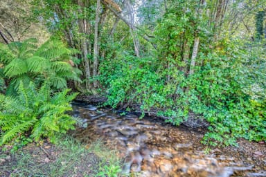 Property CA 9C SEC 16 Growlers Creek Road, Wandiligong VIC 3744 IMAGE 0